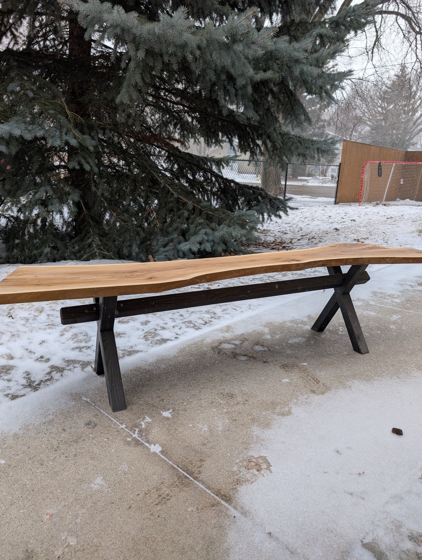 The Timbered Solstice Bench