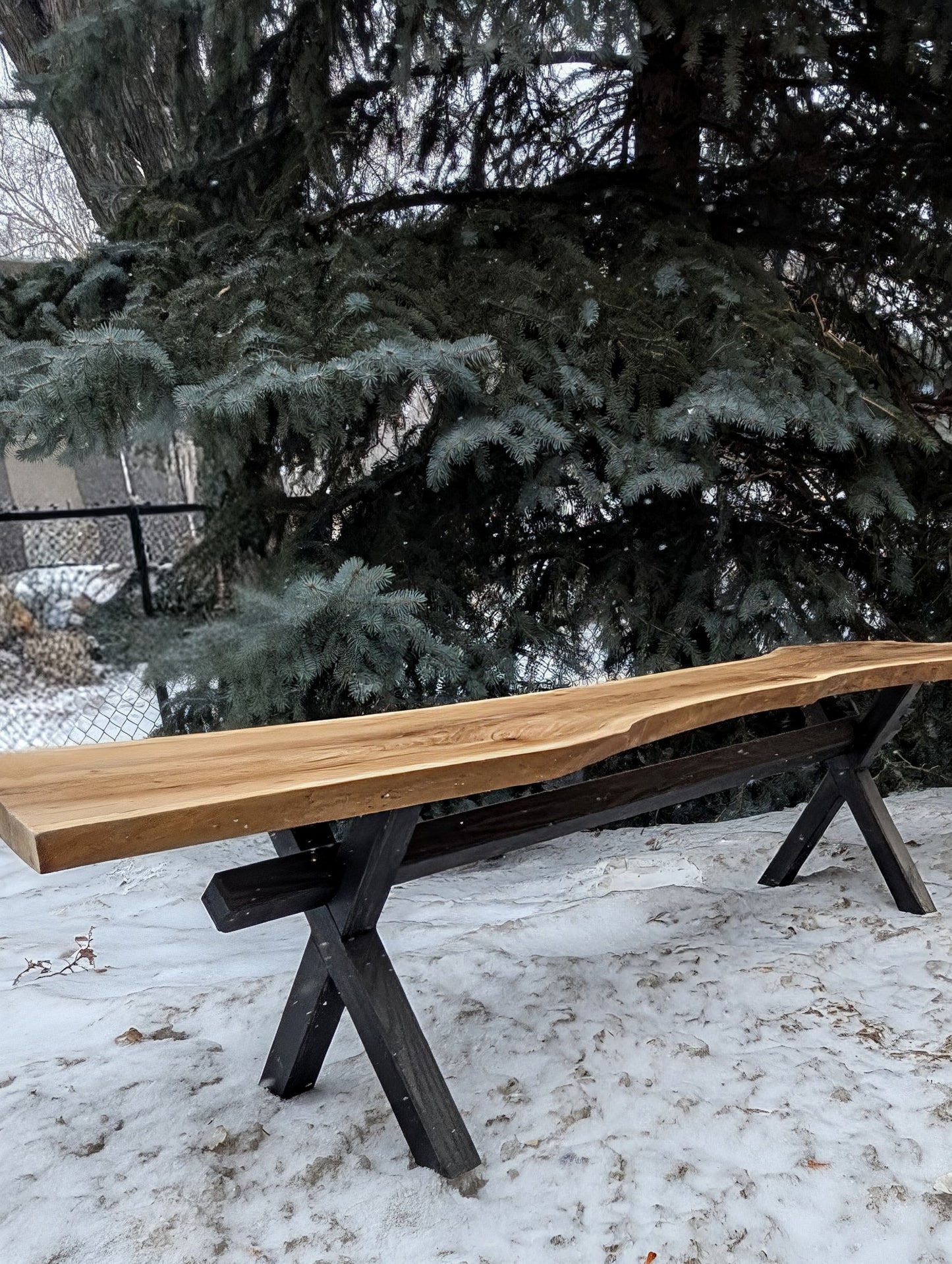 The Timbered Solstice Bench